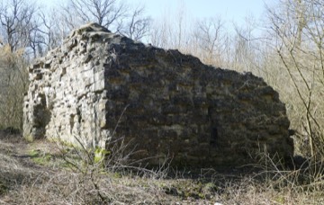 Burgruine Nienburg